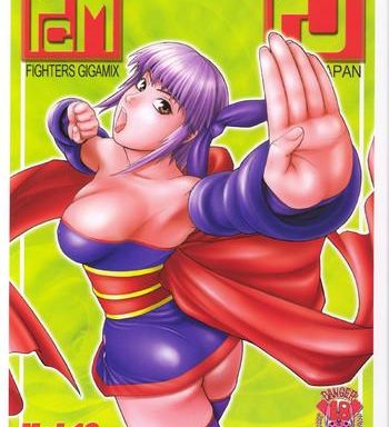 fighters gigamix fgm vol 16 cover