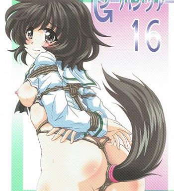 g panzer 16 cover 1
