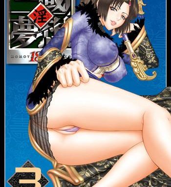 in sangoku musou 3 cover