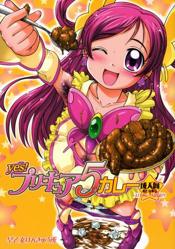 yes precure 5 curry cover