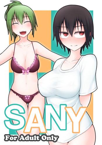 sany cover