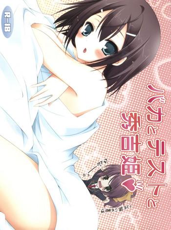 baka to test to hideyoshi hime cover