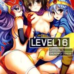 level 16 cover