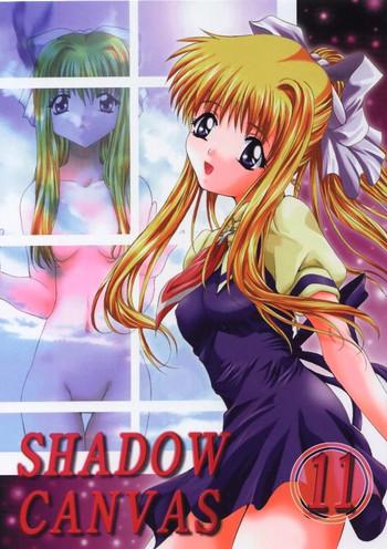 shadow canvas 11 cover