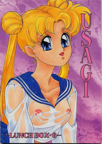 lunch box 6 usagi cover