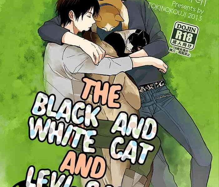 the black and white cat and levi san cover