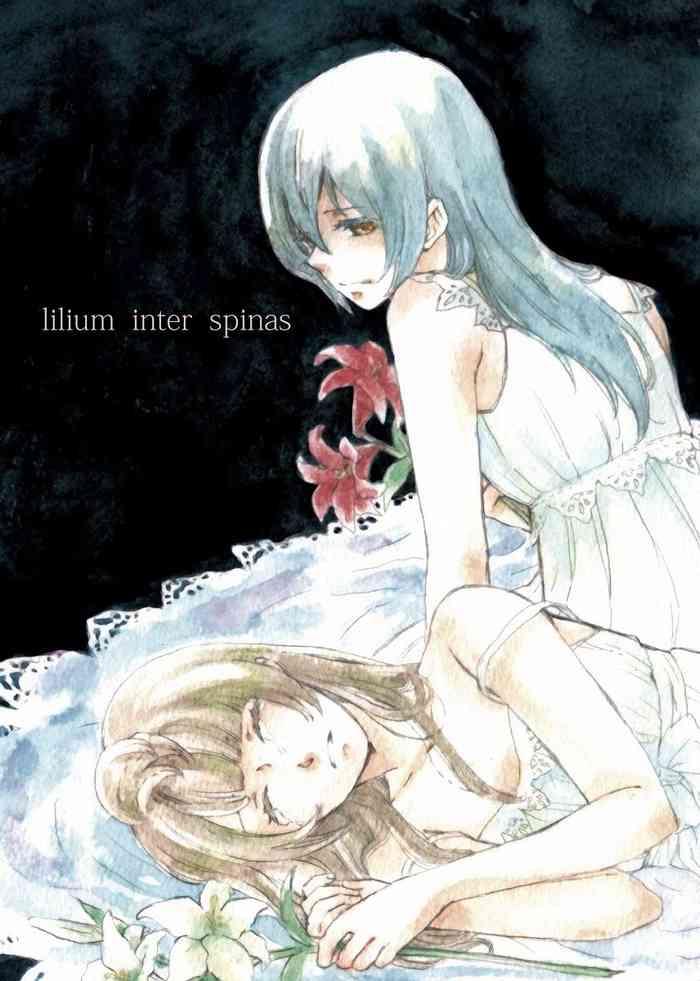 lilium inter spinas cover